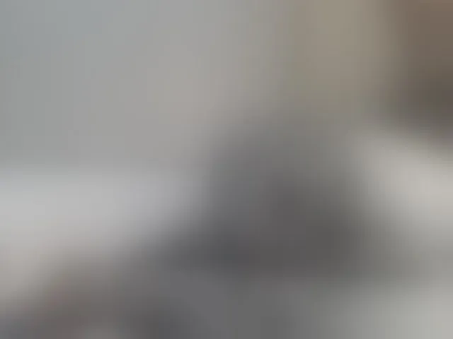 Live sex webcam photo for Shantell #293455364