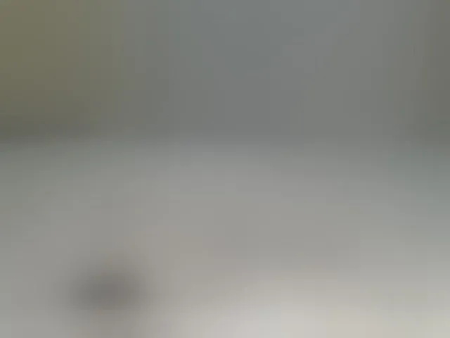 Live sex webcam photo for Shantell #293553605