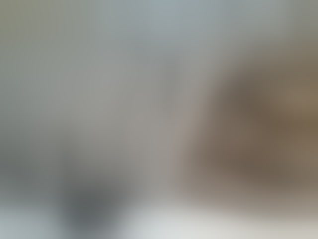 Live sex webcam photo for Shantell #293604020
