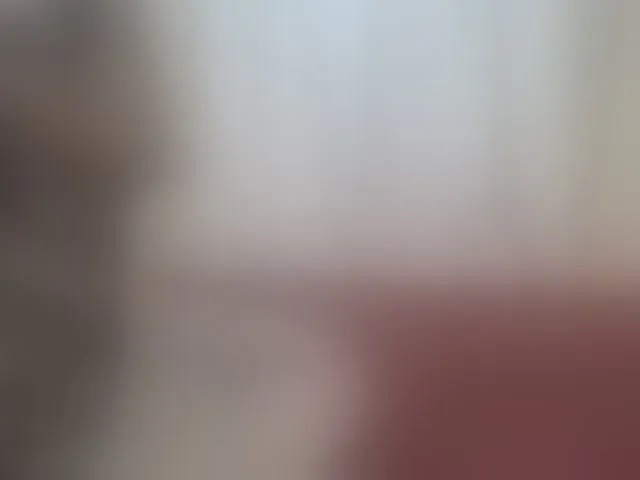 Live sex webcam photo for Shantell #293722960