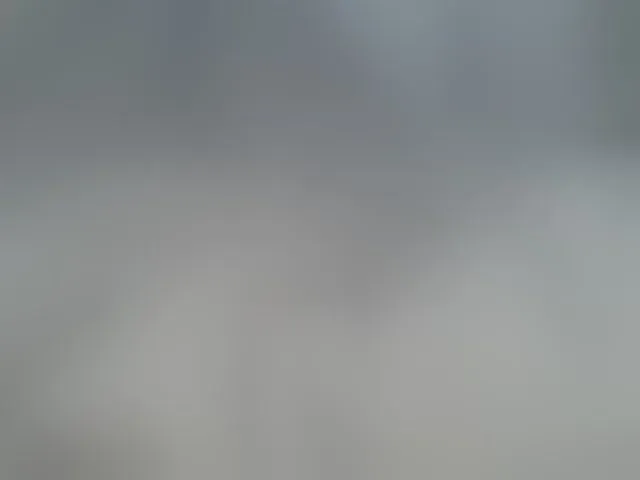 Live sex webcam photo for Shantell #293759193