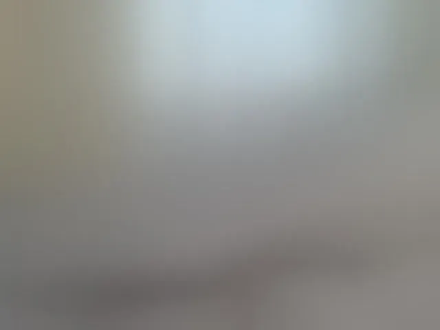 Live sex webcam photo for Shantell #293923660