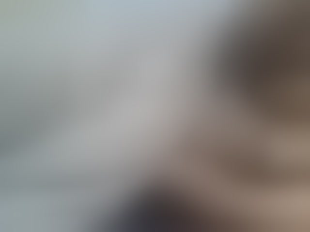 Live sex webcam photo for Shantell #293989923