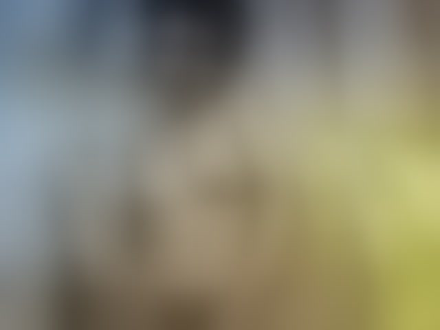 Live sex webcam photo for Shanya12 #293829962