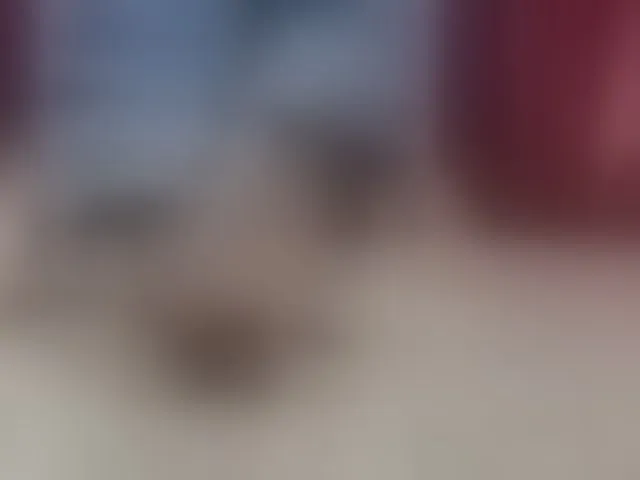 Live sex webcam photo for Sharlotte-1 #293370584