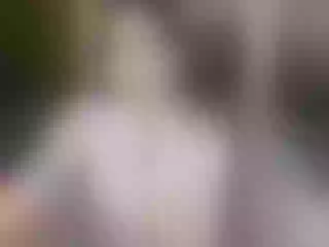 Live sex webcam photo for Sharlotte-Milk #292268112
