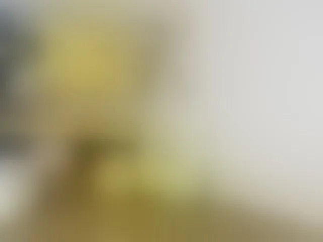 Live sex webcam photo for Sharonbar #293862905