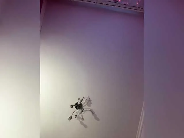 Live sex webcam photo for Shawty420 #292383328