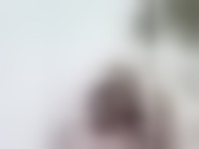 Live sex webcam photo for Shawty420 #294348230