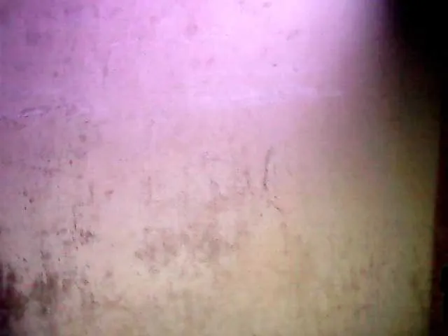 Live sex webcam photo for Shaynah1 #274070075