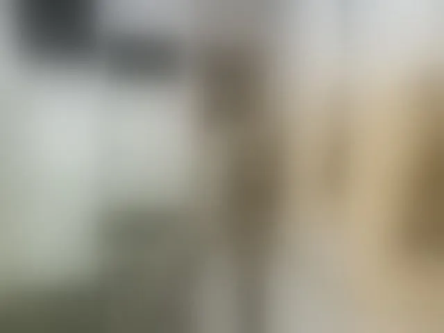 Live sex webcam photo for Sheila1945 #292478956