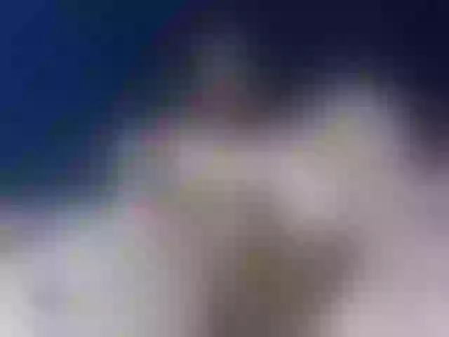 Live sex webcam photo for Sheila80 #292060623