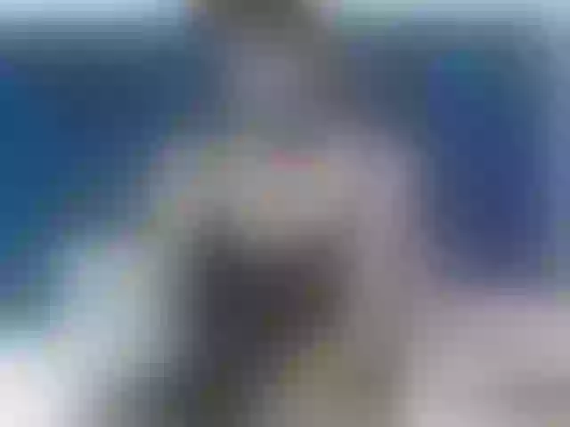 Live sex webcam photo for Sheila80 #292189237