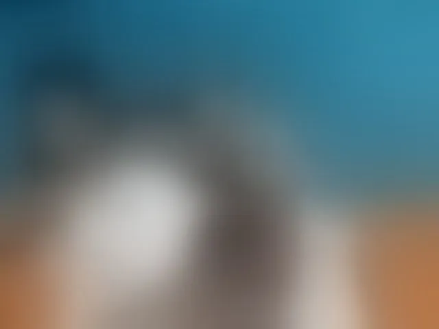 Live sex webcam photo for Sheila80 #292387212