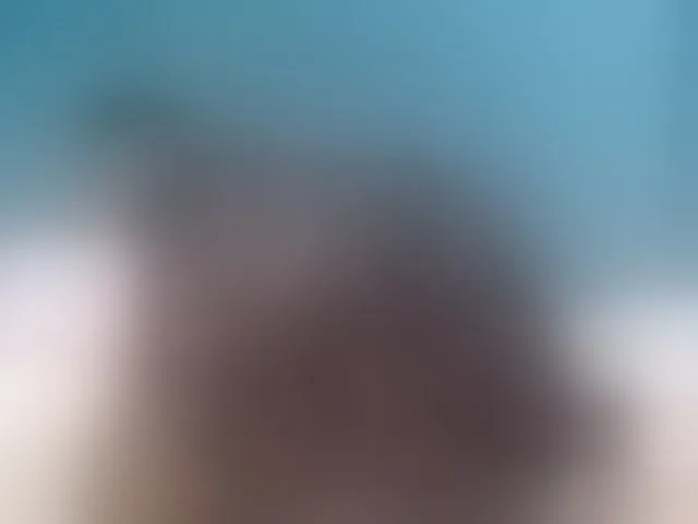 Live sex webcam photo for Sheila80 #292773296