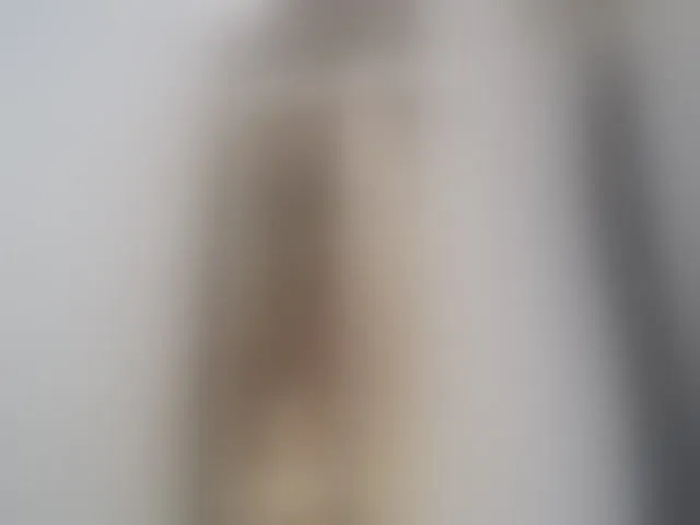 Live sex webcam photo for ShekinahPhili1 #292330135