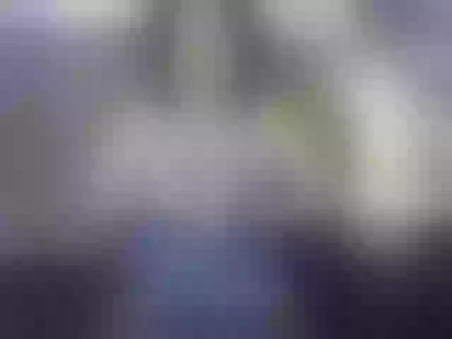 Live sex webcam photo for SheraMilf #291738158