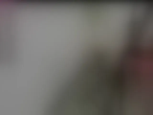 Live sex webcam photo for SheraMilf #292057858