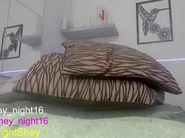 Live sex webcam photo for Shey-Ely #273881708