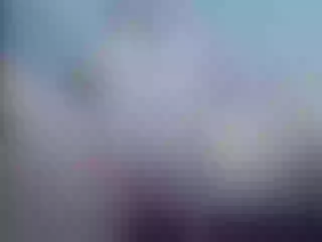 Live sex webcam photo for ShiaraHot #273962610