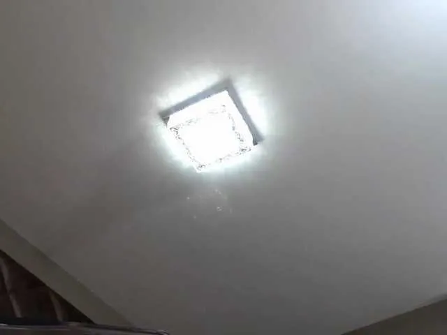 Live sex webcam photo for ShiningDeniz #273881312