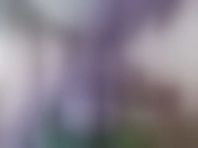 Live sex webcam photo for ShiningMILF #293454881