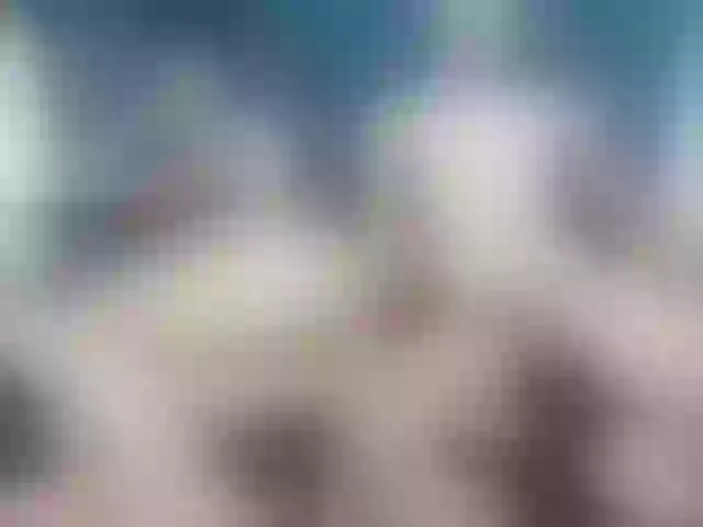 Live sex webcam photo for ShirleyEduard #276369181