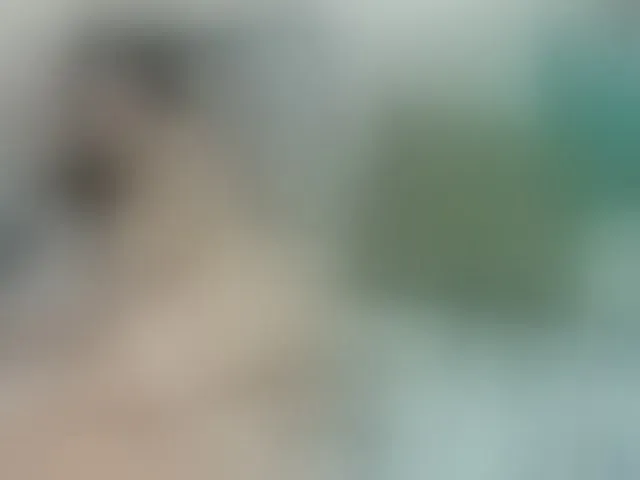Live sex webcam photo for ShirleyEduard #277542149