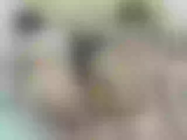 Live sex webcam photo for ShirleyEduard #278165845