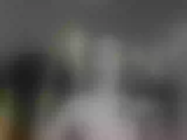 Live sex webcam photo for Shrimprolls #290233353