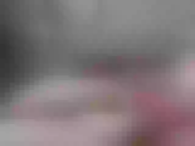Live sex webcam photo for Shy-SweetGirl #275631842