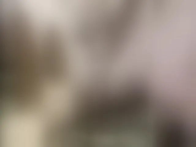 Live sex webcam photo for SiberMan #292309788