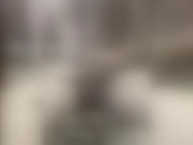 Live sex webcam photo for SiberMan #292442746