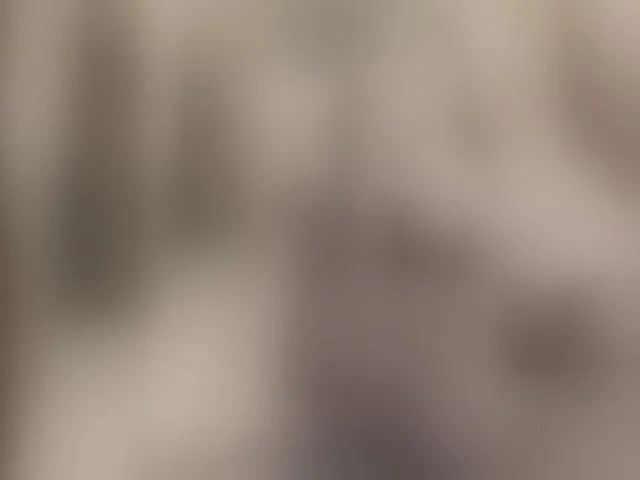Live sex webcam photo for SiberMan #293202509