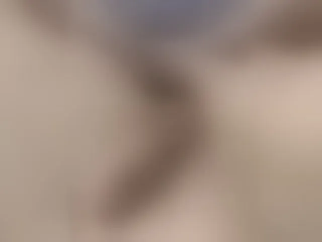 Live sex webcam photo for SiberMan #293358861