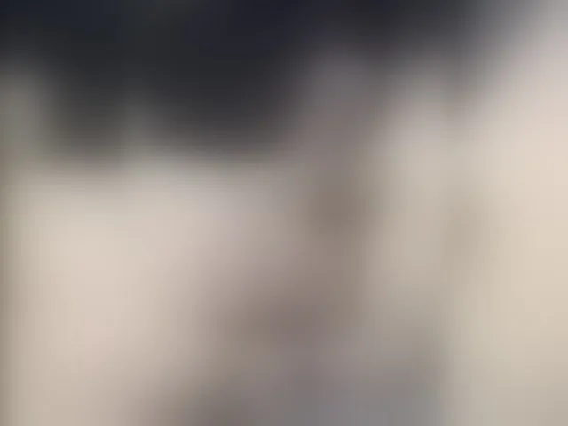 Live sex webcam photo for SiberMan #293482601