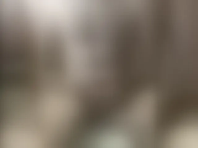 Live sex webcam photo for SiberMan #293661043