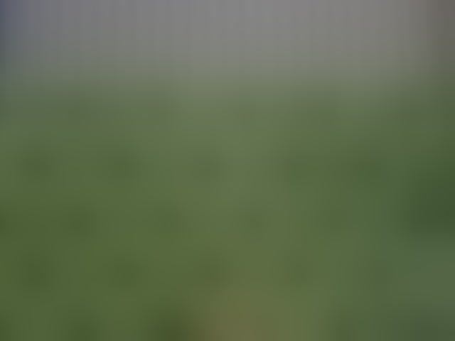 Live sex webcam photo for SiennaShapiro #294060097