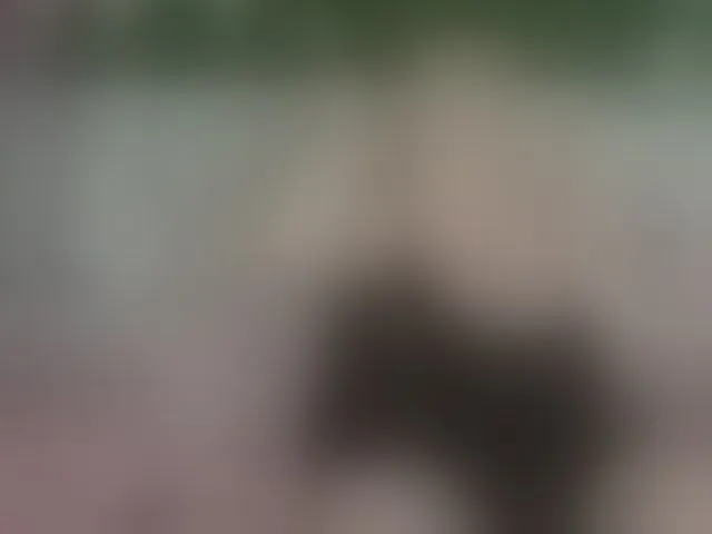 Live sex webcam photo for Siennaluxx #293121129