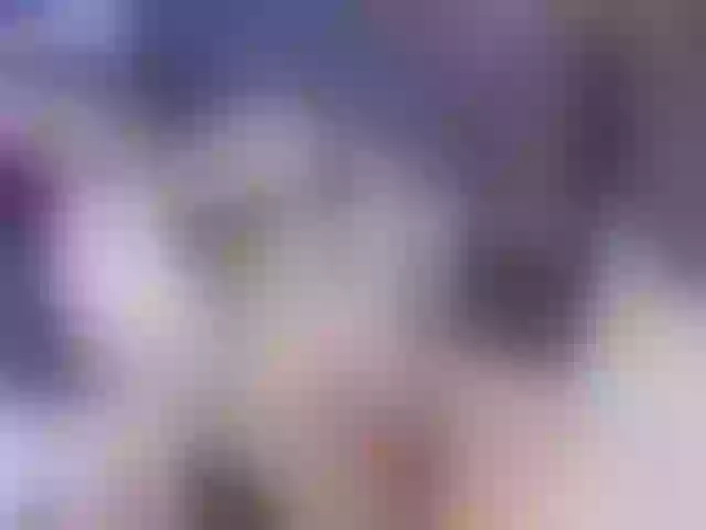 Live sex webcam photo for Silerta #290723396