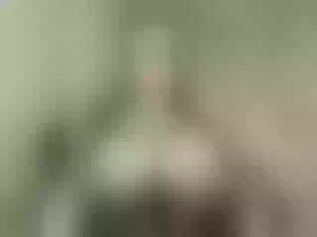 Live sex webcam photo for SilkElement #273637642