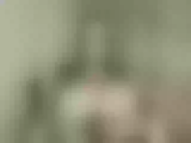 Live sex webcam photo for SilkElement #274013640