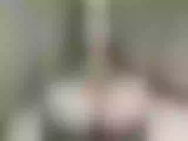 Live sex webcam photo for SilkElement #274332590
