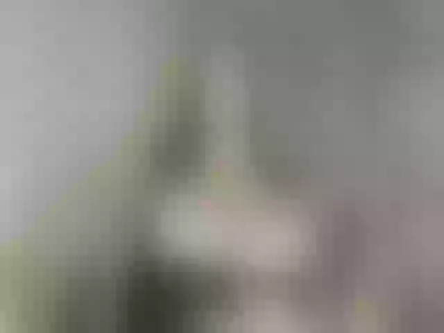 Live sex webcam photo for SilkElement #274647119