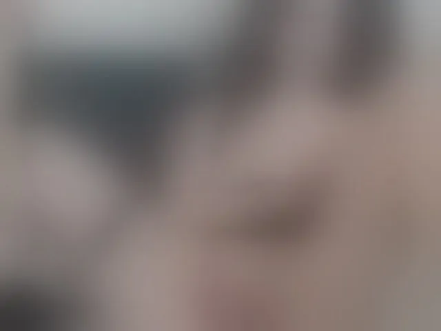 Live sex webcam photo for SillianaSky #292405785