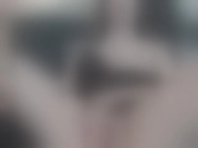 Live sex webcam photo for SillianaSky #293263127