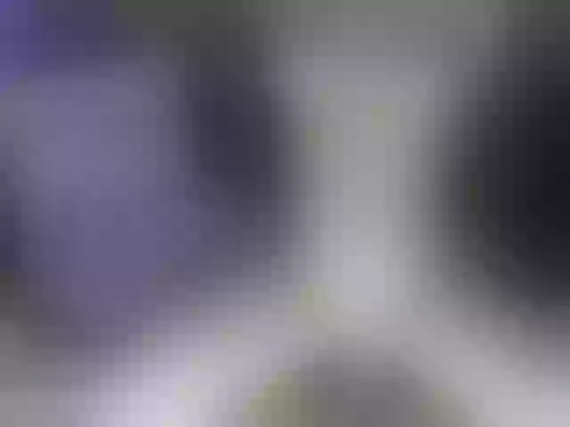 Live sex webcam photo for SilvaTail #291167824