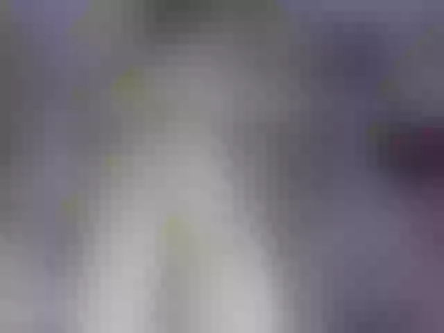 Live sex webcam photo for SilvaTail #291213649