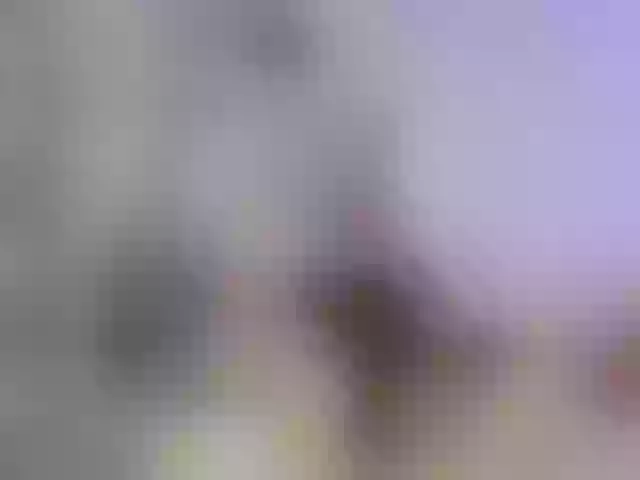 Live sex webcam photo for SilvaTail #291786222