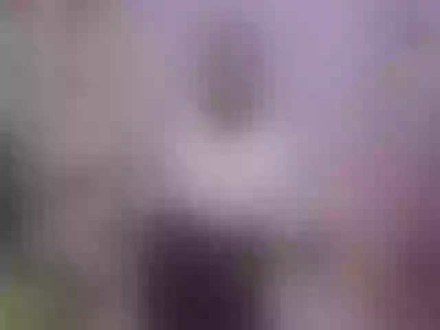 Live sex webcam photo for SilvaTail #291847415